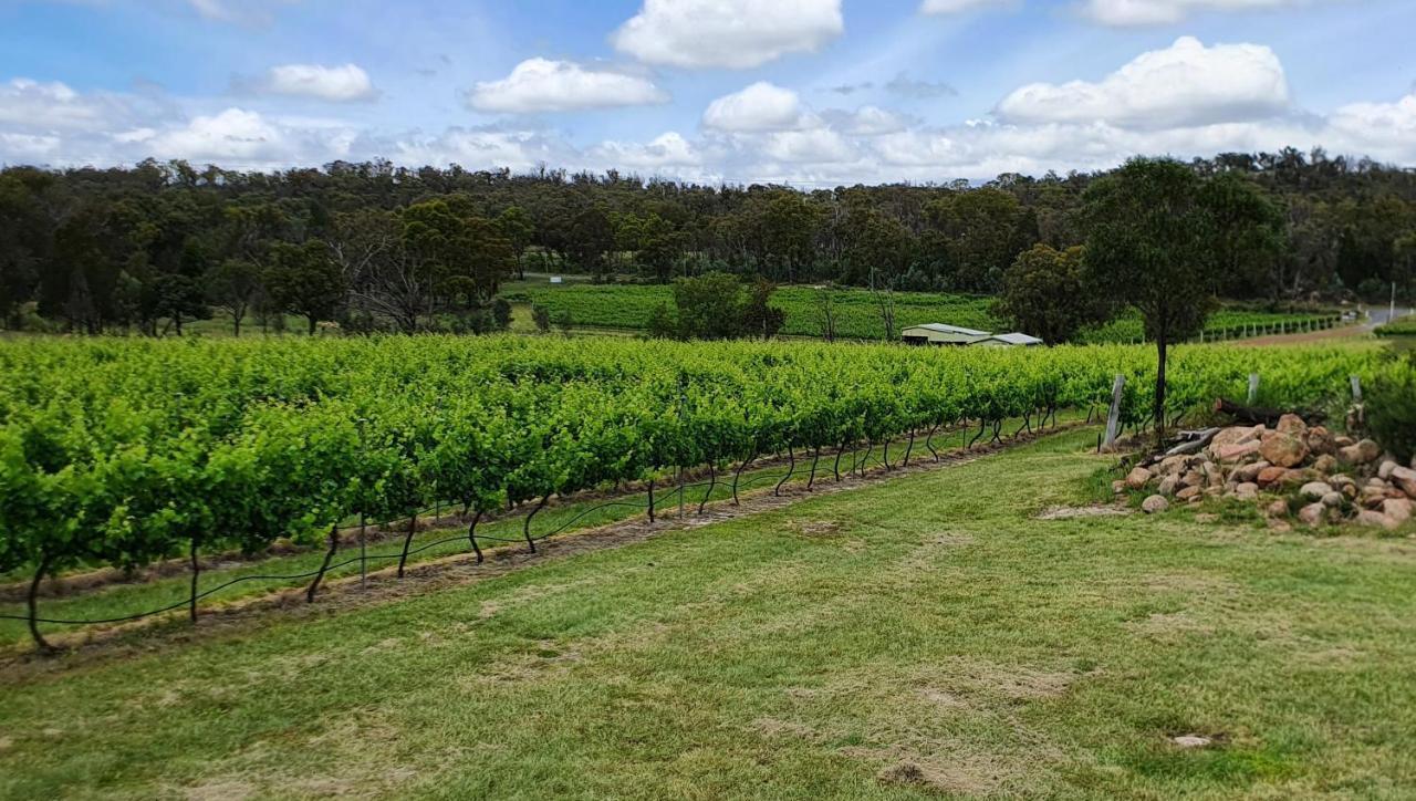 Just Red Wines Cabins Ballandean Luaran gambar